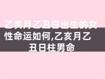 乙亥月乙丑日出生的女性命运如何,乙亥月乙丑日柱男命