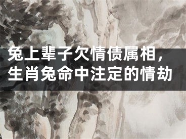 兔上辈子欠情债属相，生肖兔命中注定的情劫