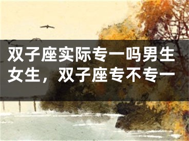双子座实际专一吗男生女生,双子座专不专一