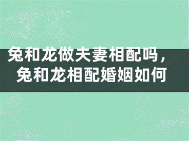 兔和龙做夫妻相配吗,兔和龙相配婚姻如何