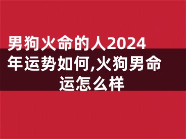 男狗火命的人2024年运势如何,火狗男命运怎么样