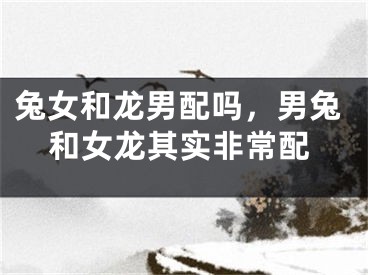 兔女和龙男配吗,男兔和女龙其实非常配