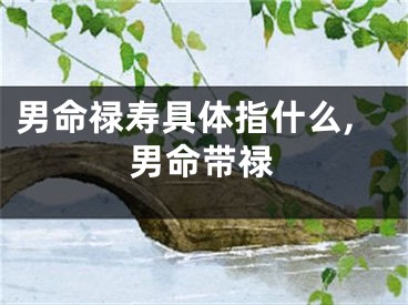 男命禄寿具体指什么,男命带禄