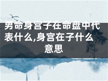 男命身宫子在命盘中代表什么,身宫在子什么意思