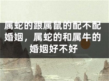 属蛇的跟属鼠的配不配婚姻,属蛇的和属牛的婚姻好不好
