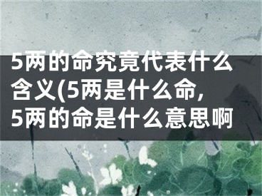 5两的命究竟代表什么含义(5两是什么命,5两的命是什么意思啊