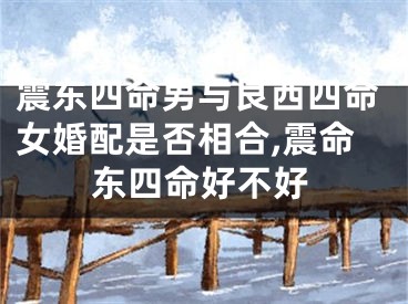 震东四命男与艮西四命女婚配是否相合,震命东四命好不好