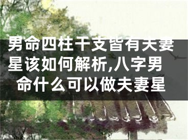 男命四柱干支皆有夫妻星该如何解析,八字男命什么可以做夫妻星