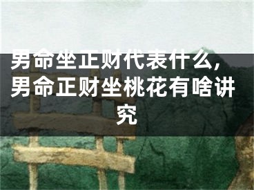 男命坐正财代表什么,男命正财坐桃花有啥讲究
