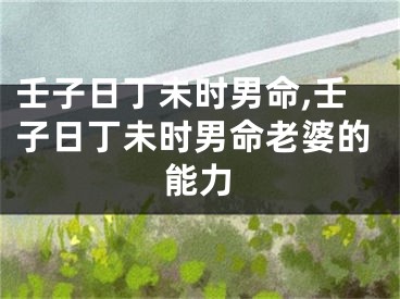 壬子日丁未时男命,壬子日丁未时男命老婆的能力