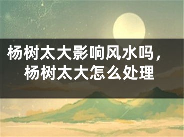 杨树太大影响风水吗，杨树太大怎么处理