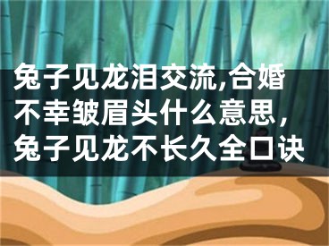 兔子见龙泪交流,合婚不幸皱眉头什么意思,兔子见龙不长久全口诀