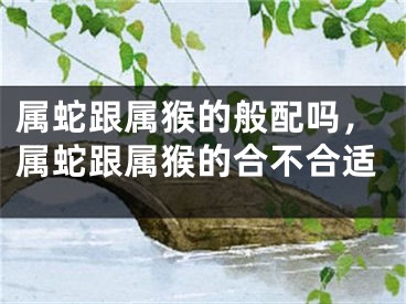 属蛇跟属猴的般配吗，属蛇跟属猴的合不合适