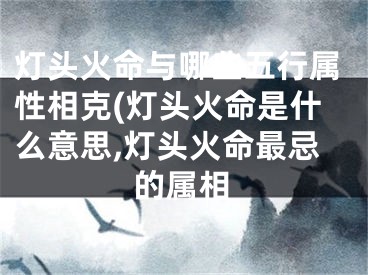 灯头火命与哪些五行属性相克(灯头火命是什么意思,灯头火命最忌的属相