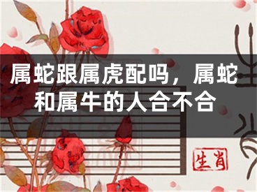 属蛇跟属虎配吗，属蛇和属牛的人合不合