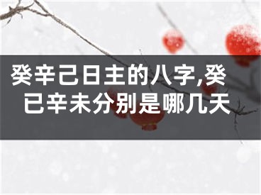 癸辛己日主的八字,癸已辛未分别是哪几天