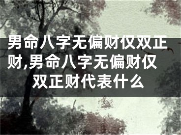 男命八字无偏财仅双正财,男命八字无偏财仅双正财代表什么