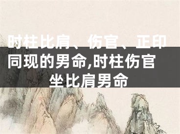时柱比肩、伤官、正印同现的男命,时柱伤官坐比肩男命