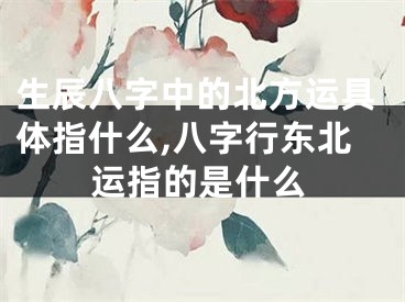 生辰八字中的北方运具体指什么,八字行东北运指的是什么