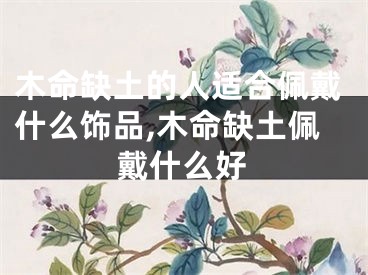 木命缺土的人适合佩戴什么饰品,木命缺土佩戴什么好