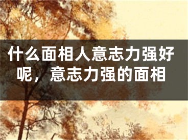 什么面相人意志力强好呢,意志力强的面相