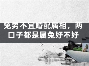 兔男不宜婚配属相,两口子都是属兔好不好