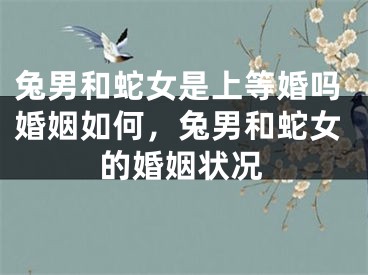 兔男和蛇女是上等婚吗婚姻如何,兔男和蛇女的婚姻状况