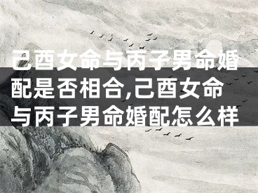 己酉女命与丙子男命婚配是否相合,己酉女命与丙子男命婚配怎么样