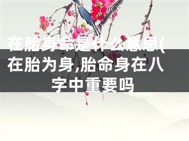 在胎身命是什么意思(在胎为身,胎命身在八字中重要吗