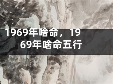 1969年啥命，1969年啥命五行