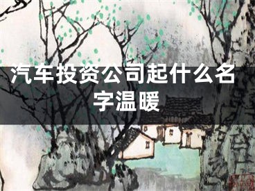 汽车投资公司起什么名字温暖