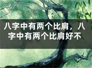 八字中有两个比肩,八字中有两个比肩好不