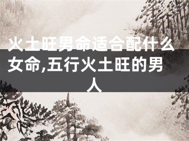 火土旺男命适合配什么女命,五行火土旺的男人