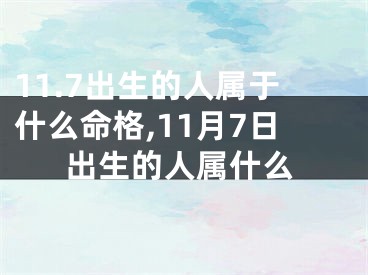 11.7出生的人属于什么命格,11月7日出生的人属什么