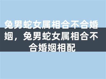 兔男蛇女属相合不合婚姻,兔男蛇女属相合不合婚姻相配