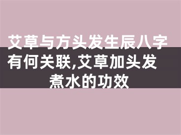 艾草与方头发生辰八字有何关联,艾草加头发煮水的功效