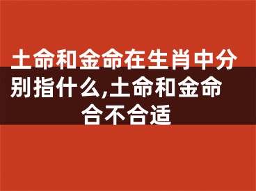 土命和金命在生肖中分别指什么,土命和金命合不合适