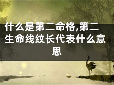 什么是第二命格,第二生命线纹长代表什么意思