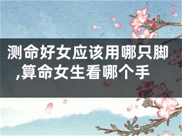 测命好女应该用哪只脚,算命女生看哪个手
