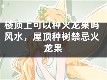 楼顶上可以种火龙果吗风水,屋顶种树禁忌火龙果