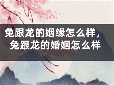 兔跟龙的姻缘怎么样，兔跟龙的婚姻怎么样