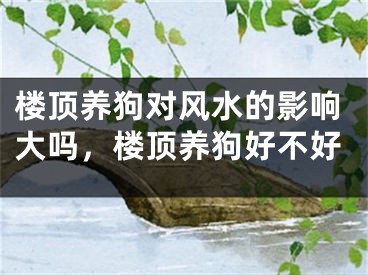 楼顶养狗对风水的影响大吗，楼顶养狗好不好
