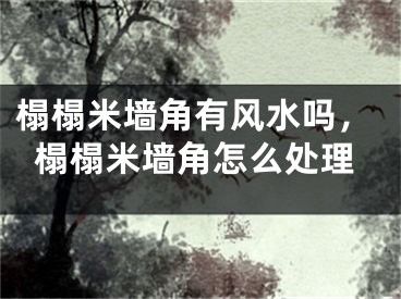 榻榻米墙角有风水吗，榻榻米墙角怎么处理