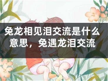 兔龙相见泪交流是什么意思，兔遇龙泪交流