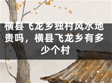 横县飞龙乡独村风水地贵吗,横县飞龙乡有多少个村
