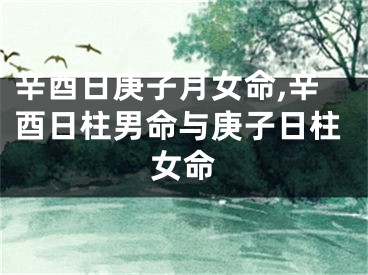 辛酉日庚子月女命,辛酉日柱男命与庚子日柱女命