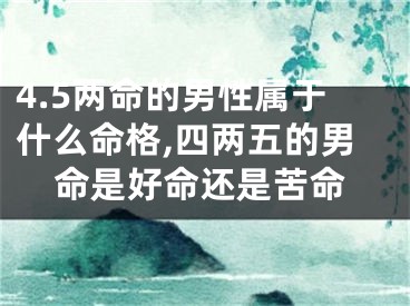 4.5两命的男性属于什么命格,四两五的男命是好命还是苦命