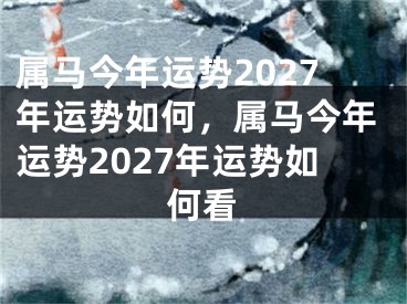 属马今年运势2027年运势如何,属马今年运势2027年运势如何看