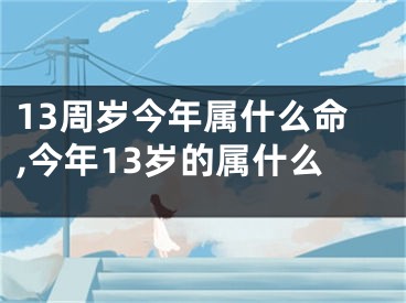 13周岁今年属什么命,今年13岁的属什么