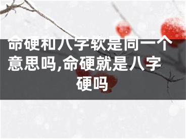 命硬和八字软是同一个意思吗,命硬就是八字硬吗